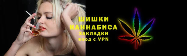 амф Алексин
