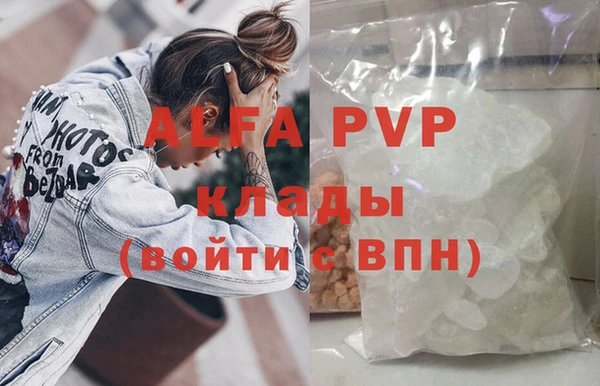 СК Алзамай